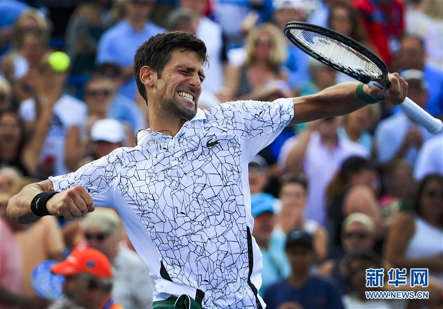 雷速体育-莱万多夫斯基连续十二场比赛得分超过问鼎冠军，塞尔维亚队挑战极限！的简单介绍